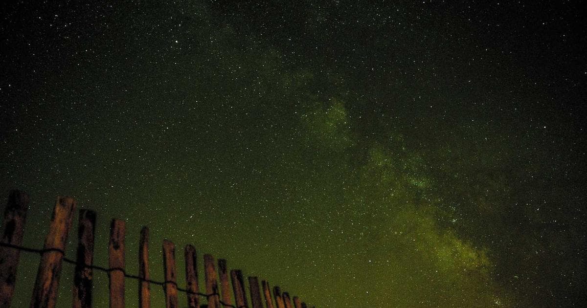 Cover image for Your Complete Guide to Studying in Germany