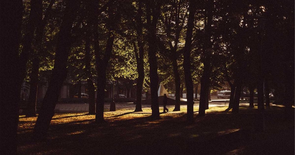 Cover image for A Starter's Guide to Skilled Migration