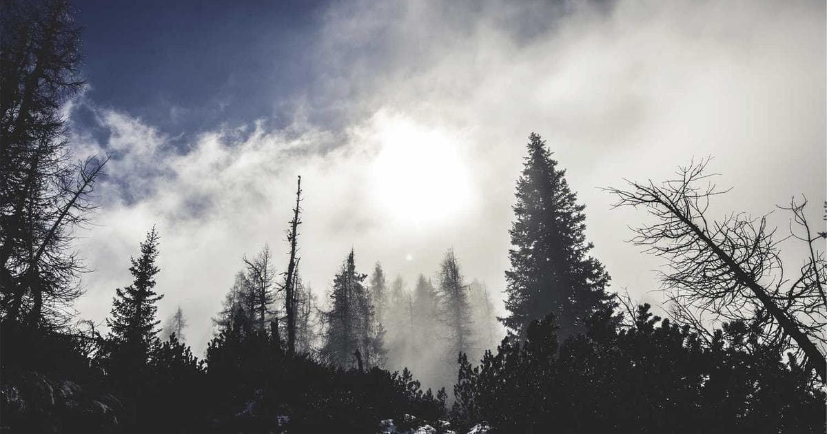 Cover image for Why a Visa Consultancy Can Be Your Best Investment